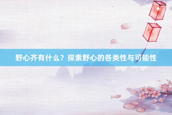野心齐有什么？探索野心的各类性与可能性